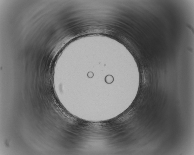 X0000103440828200809261752