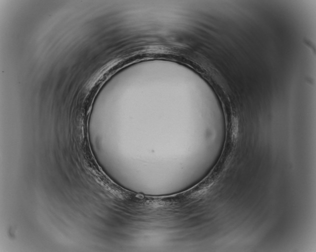 X0000103440829200809261752