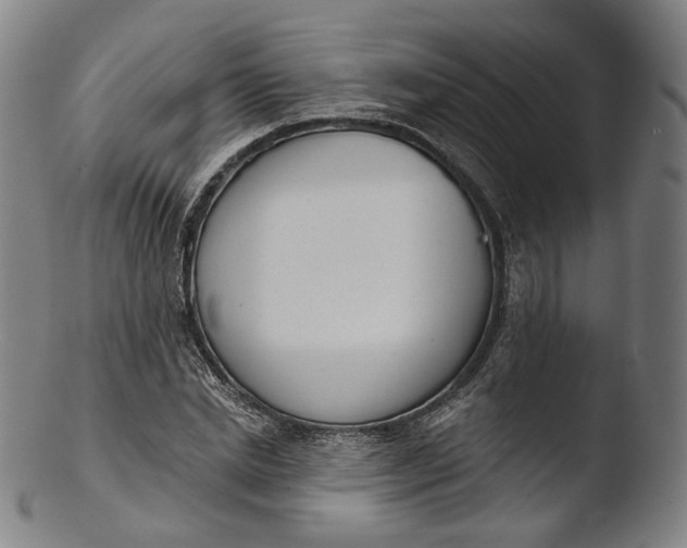 X0000103440830200809261752