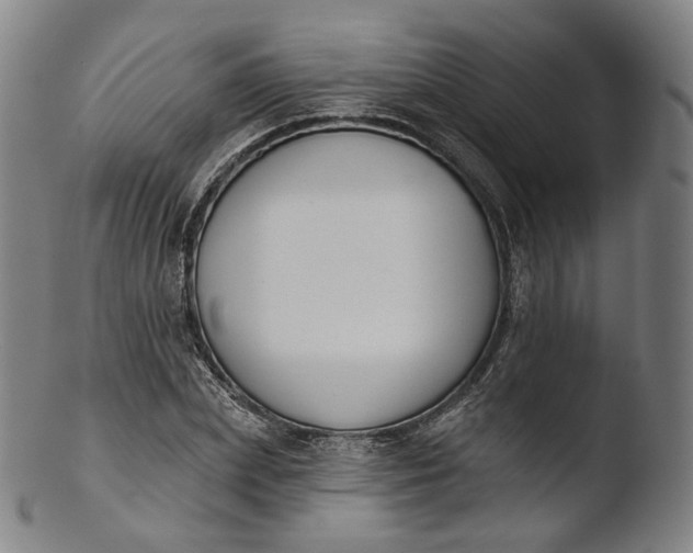 X0000103440831200809261752