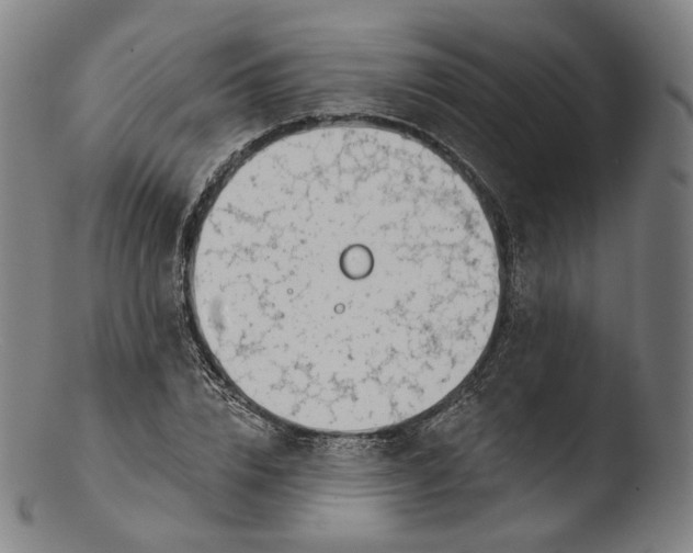 X0000103440832200809261752