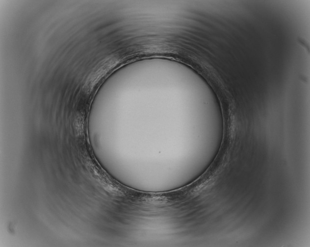 X0000103440833200809261752