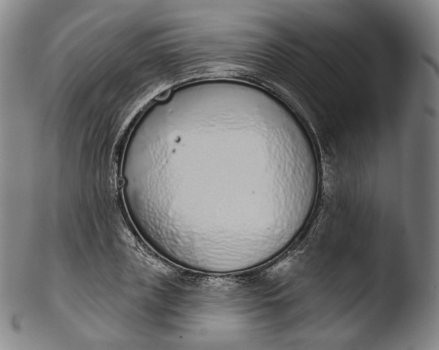 X0000103440835200809261752