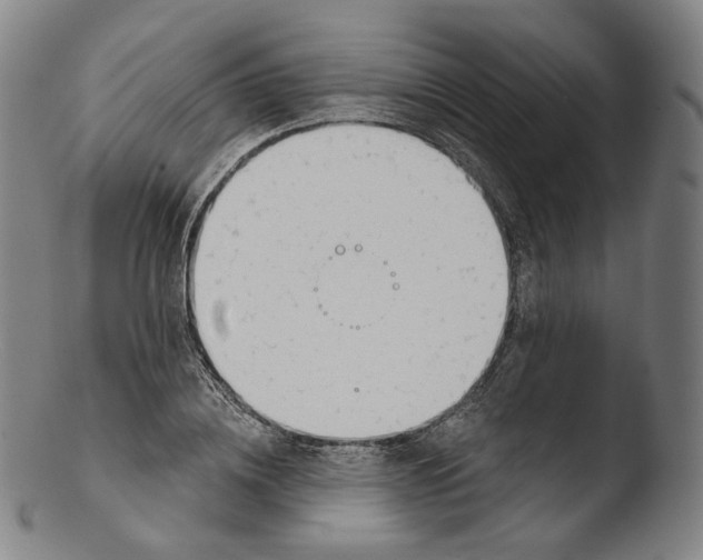 X0000103440836200809261752