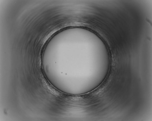 X0000103440837200809261752