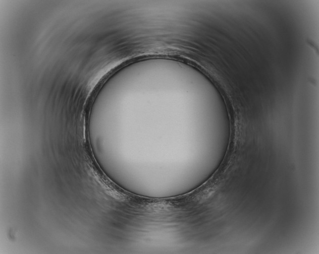 X0000103440838200809261752