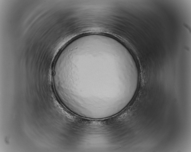 X0000103440839200809261752