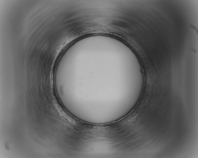X0000103440840200809261752