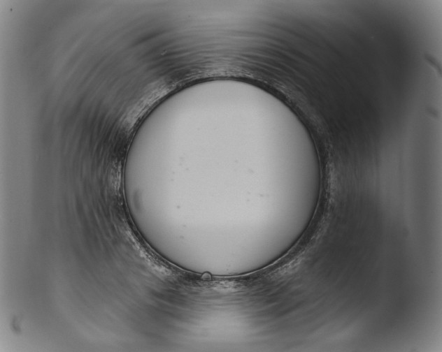 X0000103440841200809261752