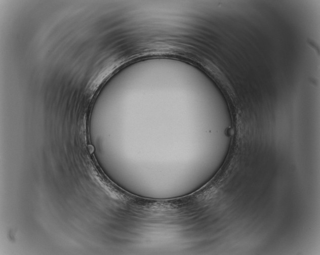 X0000103440842200809261752