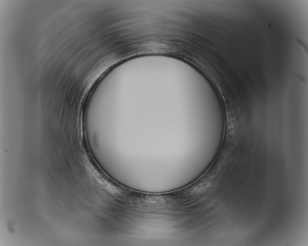 X0000103440843200809261752