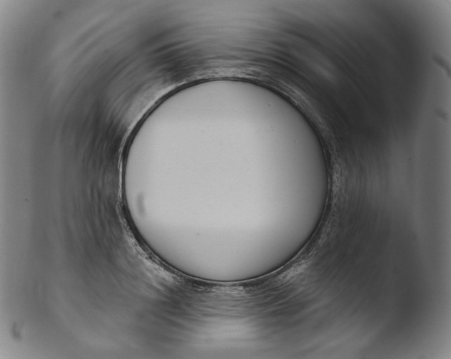 X0000103440844200809261752