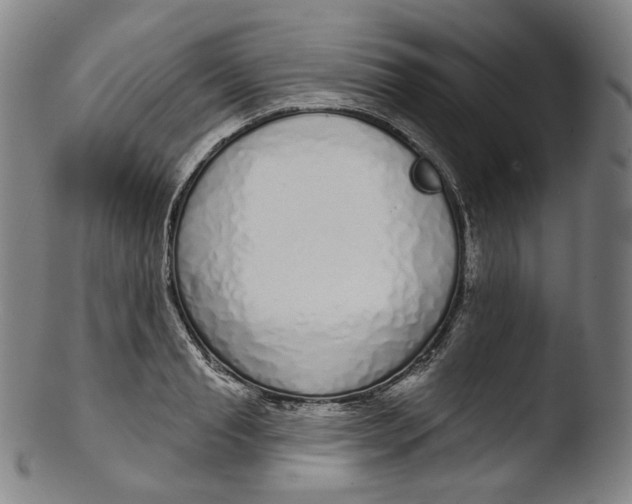 X0000103440845200809261752