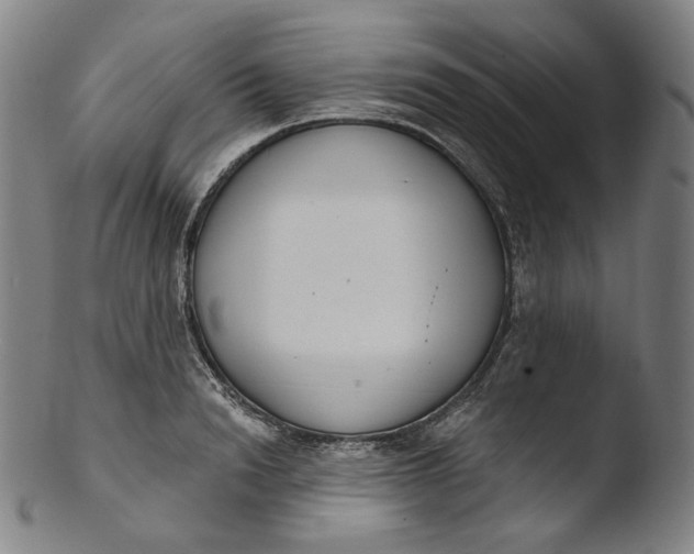 X0000103440846200809261752