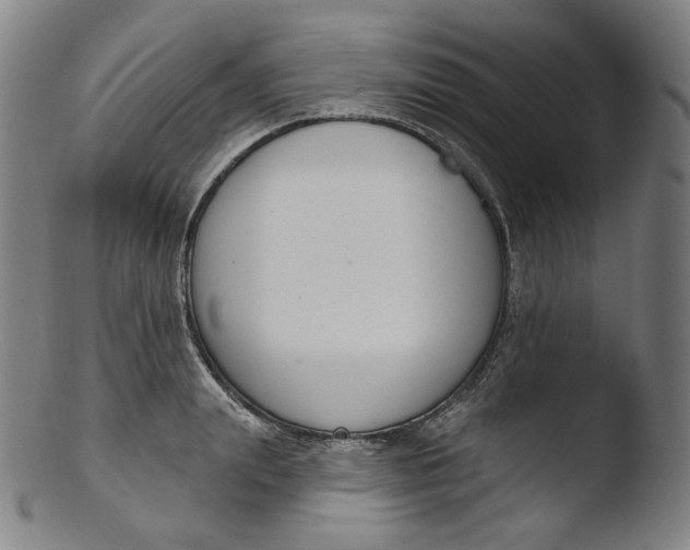 X0000103440847200809261752
