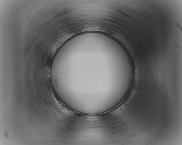 X0000103440849200809261752