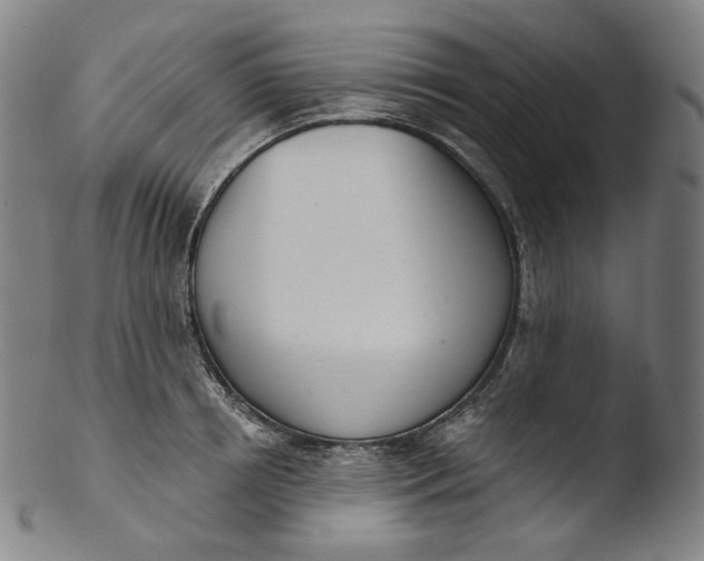 X0000103440850200809261752