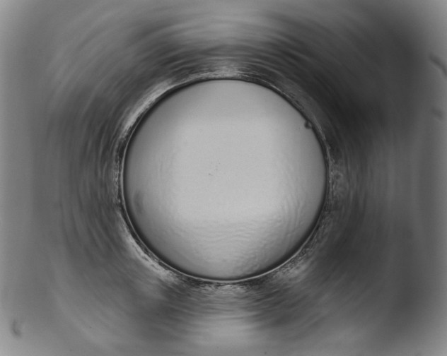 X0000103440851200809261752