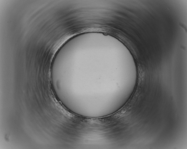 X0000103440852200809261752