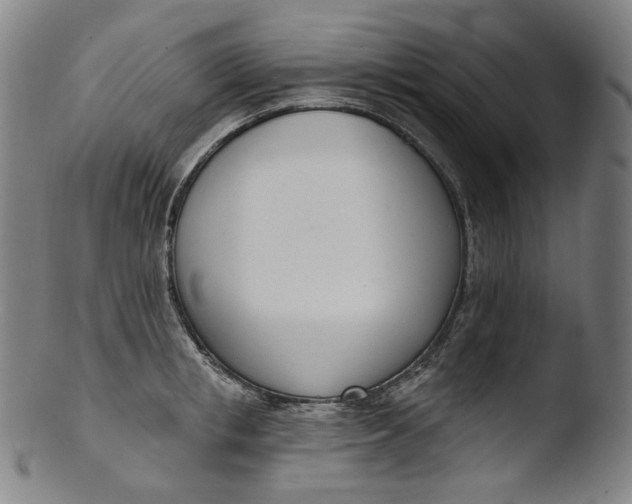 X0000103440853200809261752