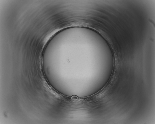 X0000103440854200809261752