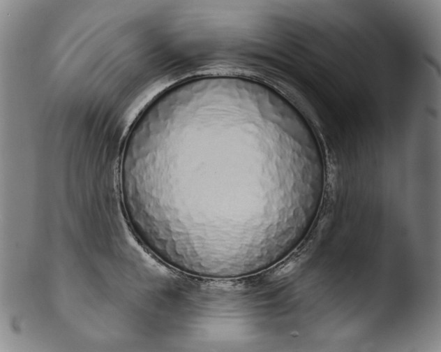 X0000103440855200809261752