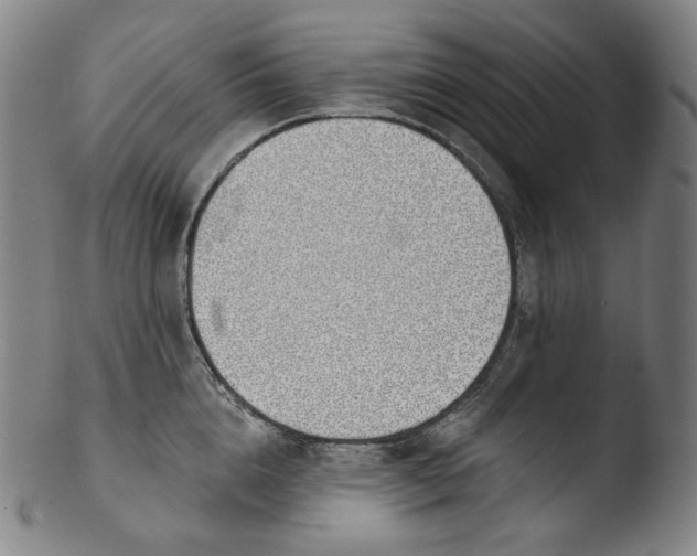 X0000103440856200809261752