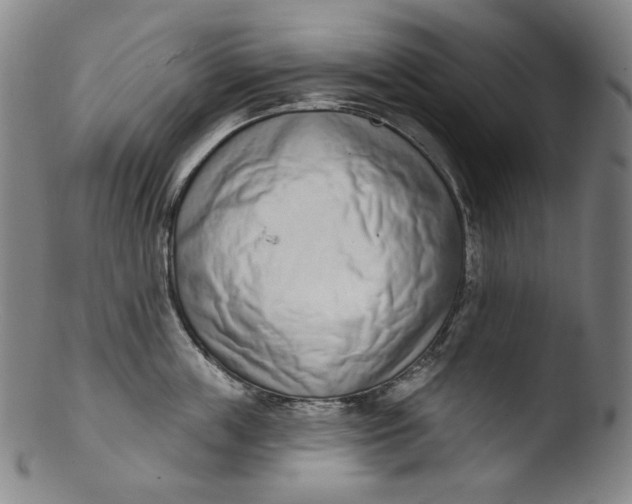 X0000103440859200809261752