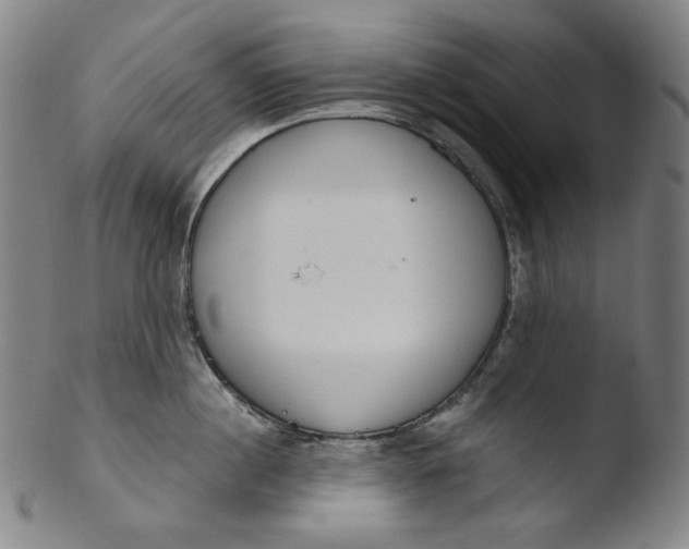 X0000103440860200809261752