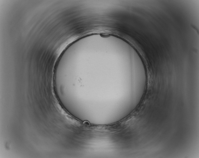 X0000103440861200809261752