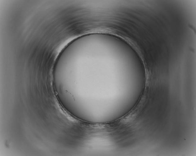 X0000103440862200809261752