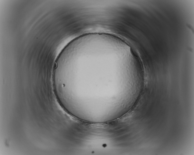 X0000103440863200809261752
