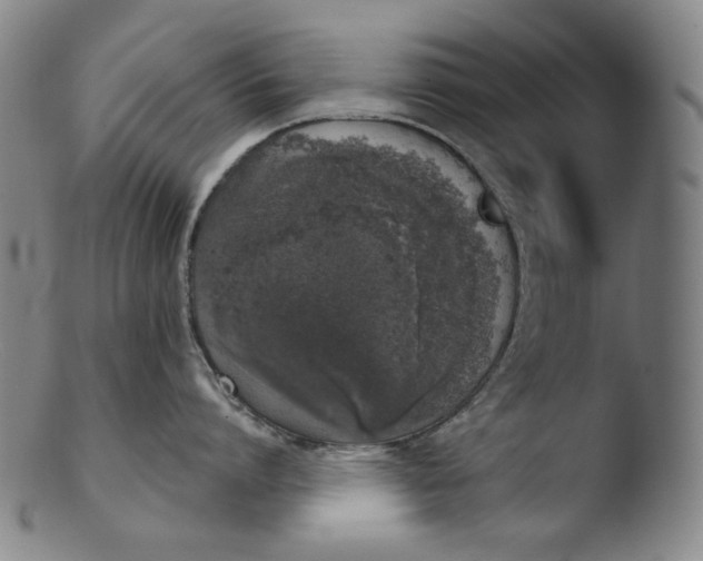 X0000103440864200809261752