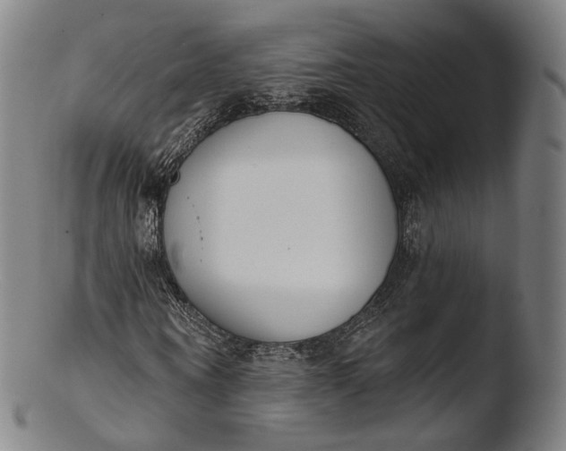 X0000103440866200809261752