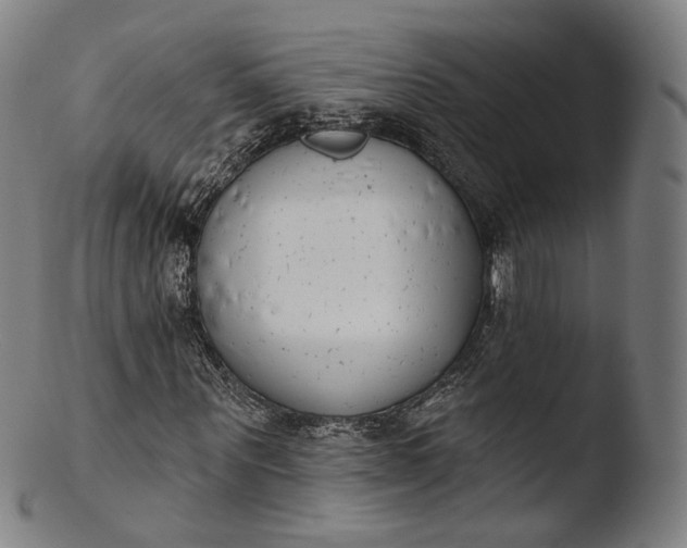 X0000103440867200809261752