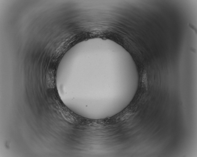 X0000103440868200809261752