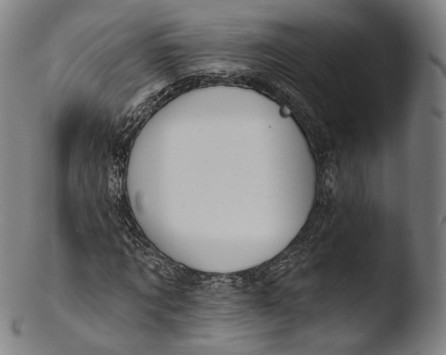 X0000103440869200809261751