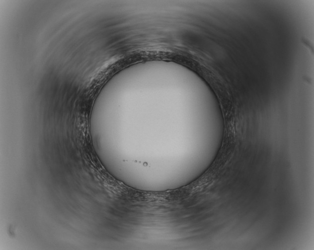 X0000103440870200809261751
