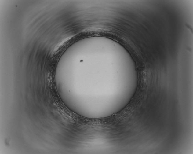 X0000103440872200809261751