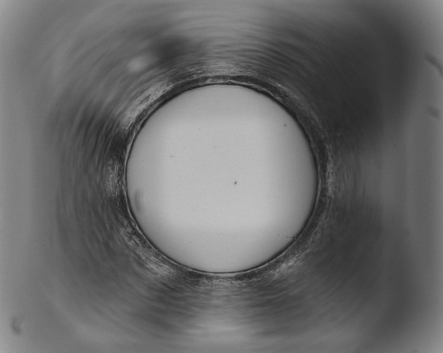 X0000103440873200809261751