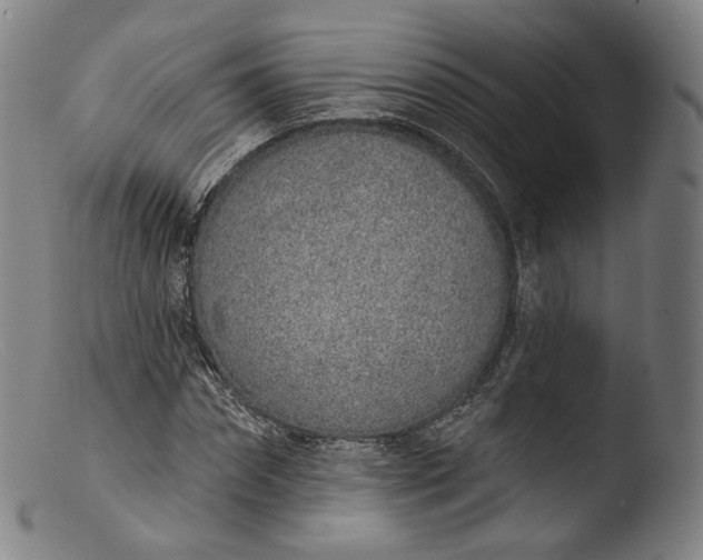 X0000103440874200809261751