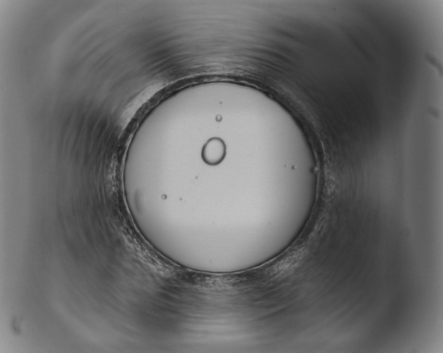 X0000103440875200809261751