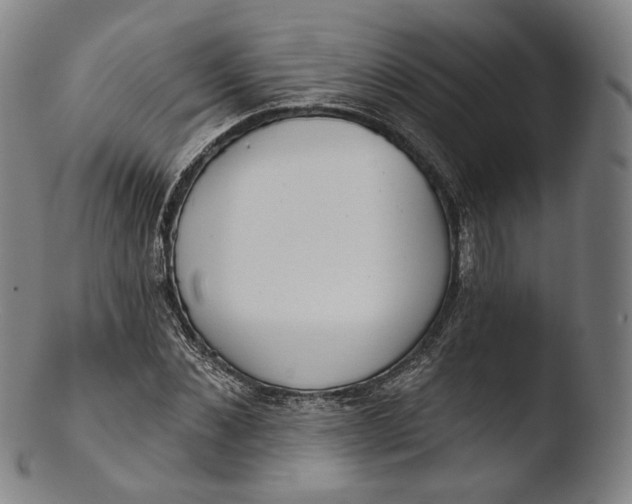 X0000103440876200809261751
