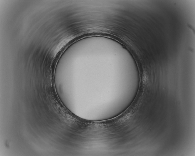 X0000103440877200809261751