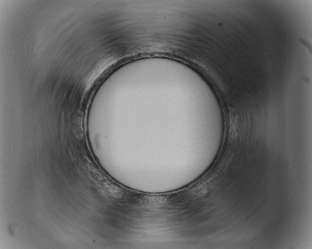 X0000103440878200809261751