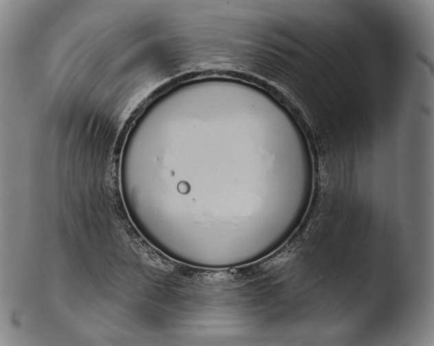 X0000103440879200809261751