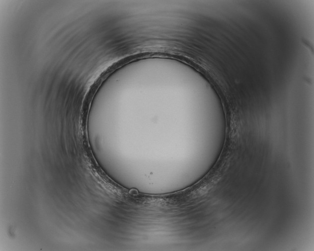 X0000103440880200809261751