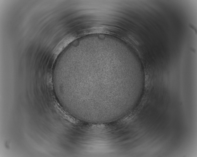 X0000103440882200809261751