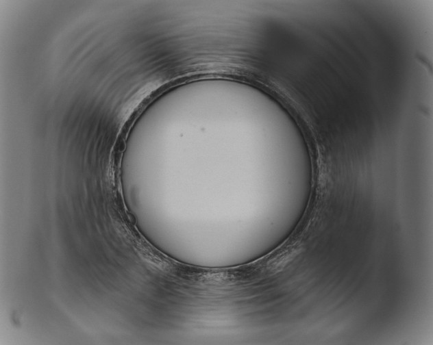 X0000103440883200809261751