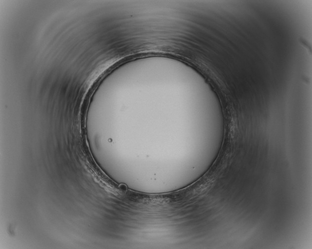 X0000103440884200809261751